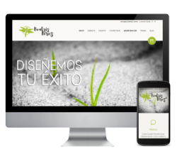 María Ferraro - Beatriz Pérez Diseñemos tu éxito Desarrollo Web